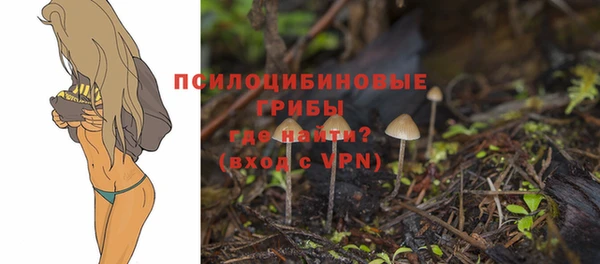 МДПВ Заволжье