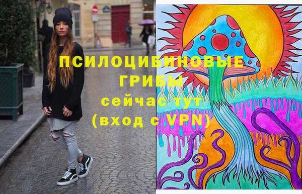 мяу мяу мука Пересвет