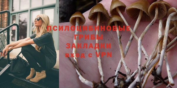 МДПВ Заволжье