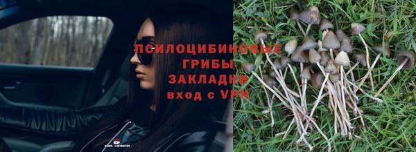 МДПВ Заволжье