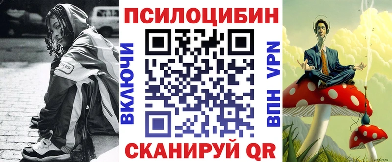 купить  сайты  Серов  Псилоцибиновые грибы мицелий 