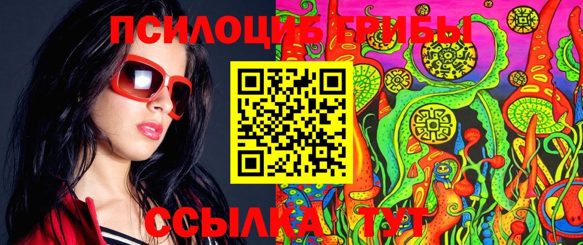 Псилоцибиновые грибы Cubensis Серов