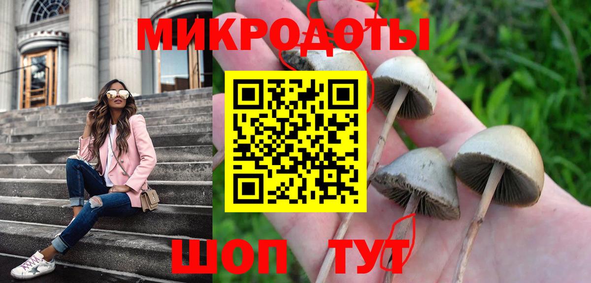 Галлюциногенные грибы Cubensis  Галлюциногенные грибы Psilocybe  что такое   Вход с VPN  Серов 